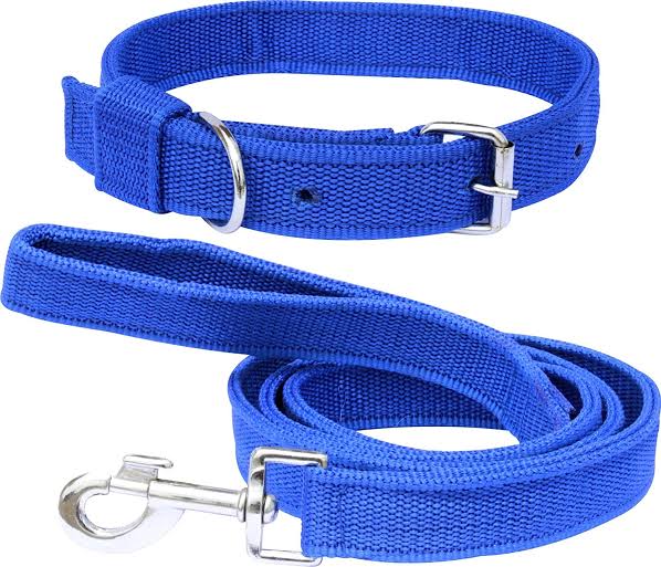 MAYA Dog Collar & Leash PP Set — view 6